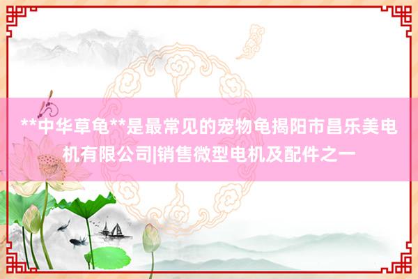 **中华草龟**是最常见的宠物龟揭阳市昌乐美电机有限公司|销售微型电机及配件之一